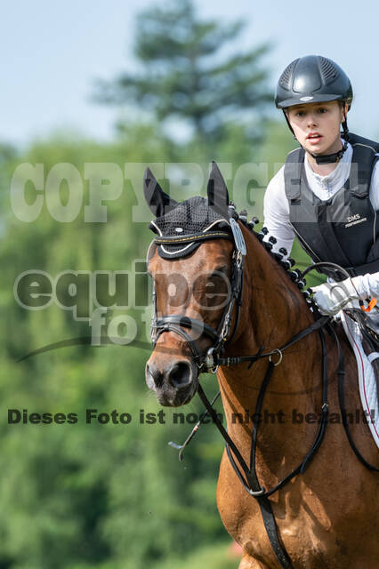 Goldene Schärpe 2021 - Ponys