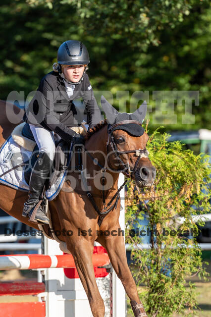 RFV Dinslaken-Hiesfeld (Herbstturnier)