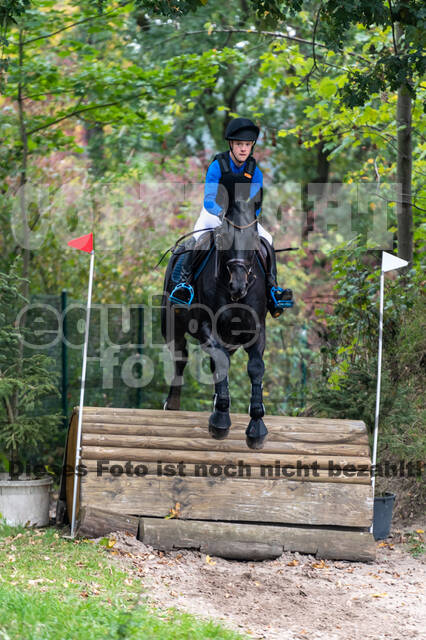 Goldene Schärpe 2020 - Pferde