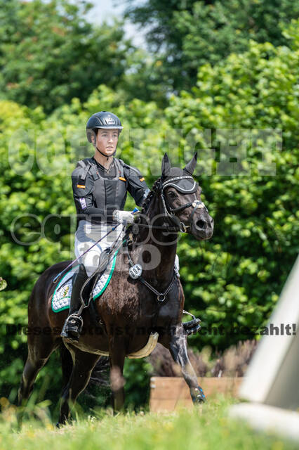 Goldene Schärpe 2021 - Ponys