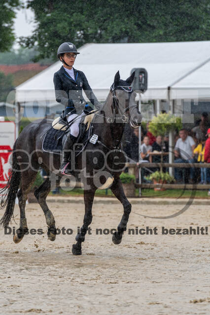 Goldene Schärpe 2021 - Ponys