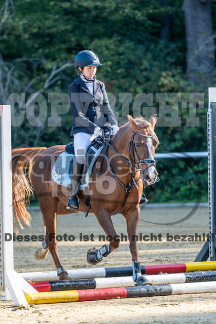 RFV Dinslaken-Hiesfeld (Herbstturnier)