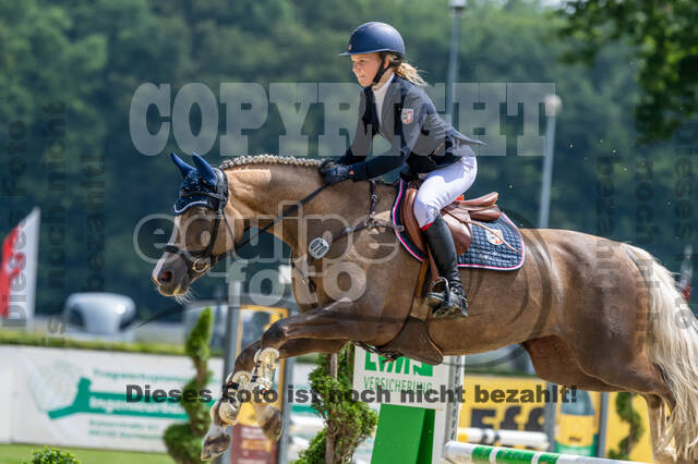 Goldene Schärpe 2021 - Ponys