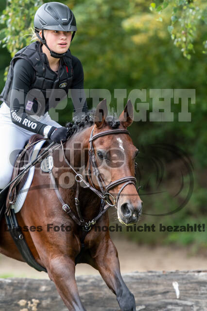 Late-Entry-Vielseitigkeit Langenfeld (06.+07.07.2020)