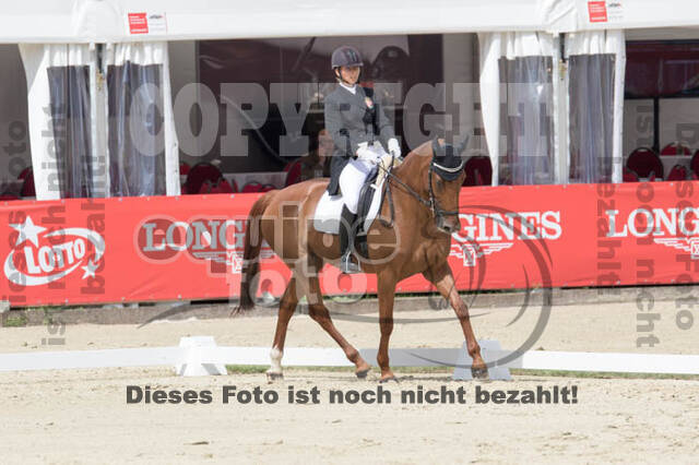 FEI European Championship Eventing 2017