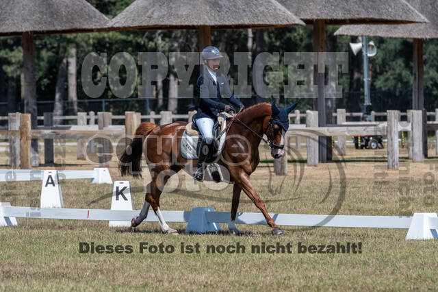 Kronenberg - De Peelbergen (August 2020)