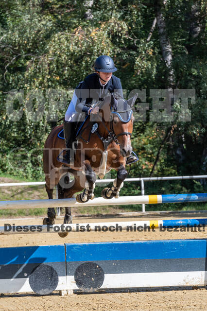 RFV Dinslaken-Hiesfeld (Herbstturnier)