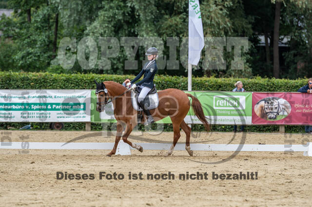 Goldene Schärpe 2021 - Ponys