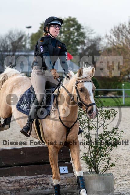 IGV Lehrgang der Sieger der Cups mit Frank Ostholt