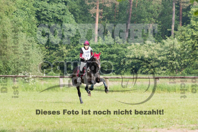 Vielseitigkeitsturnier ZRFV von Lützow Hamminkeln