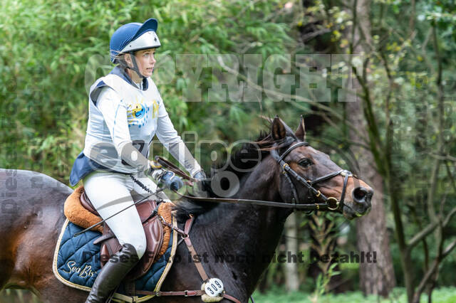 Vielseitigkeit RSV Wesel Obrighoven (26.+27.09.2020)