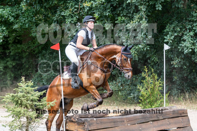 Late-Entry-Vielseitigkeit Langenfeld (11.+13./14.06.2020)