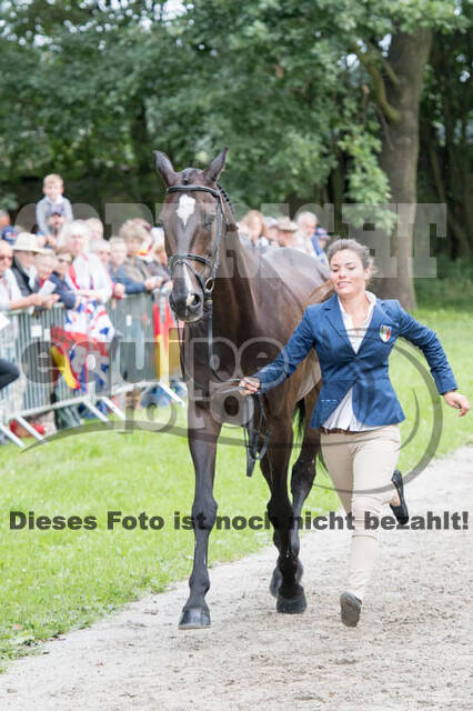 FEI European Championship