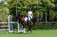 Kronenberg - De Peelbergen (August 2020)
