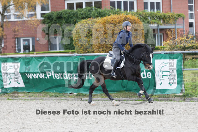 IGV Lehrgang der Sieger der Cups mit Frank Ostholt
