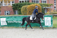 IGV Lehrgang der Sieger der Cups mit Frank Ostholt