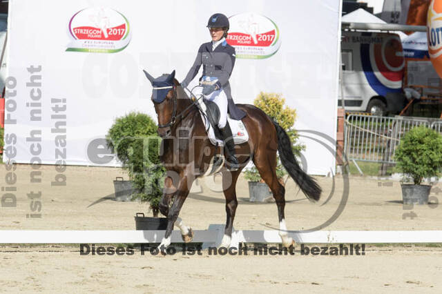 FEI European Championship Eventing 2017