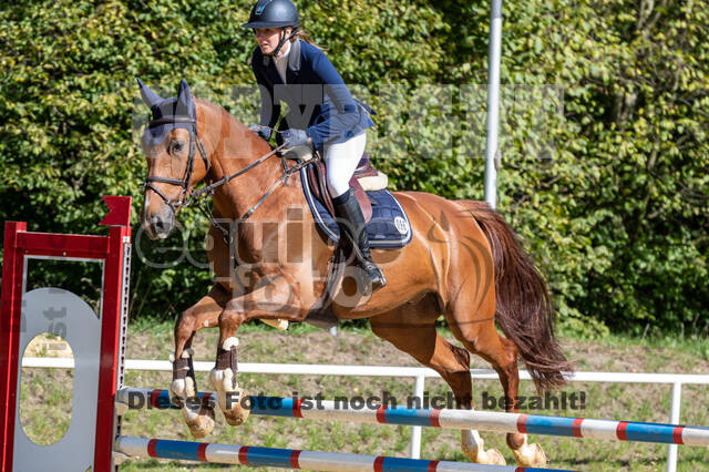 RFV Dinslaken-Hiesfeld (Herbstturnier)