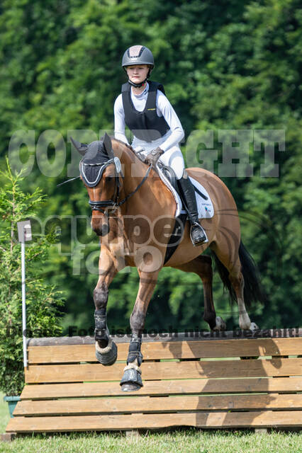 Goldene Schärpe 2021 - Ponys