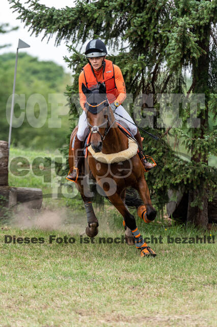 Late-Entry-Vielseitigkeit Langenfeld (11.+13./14.06.2020)