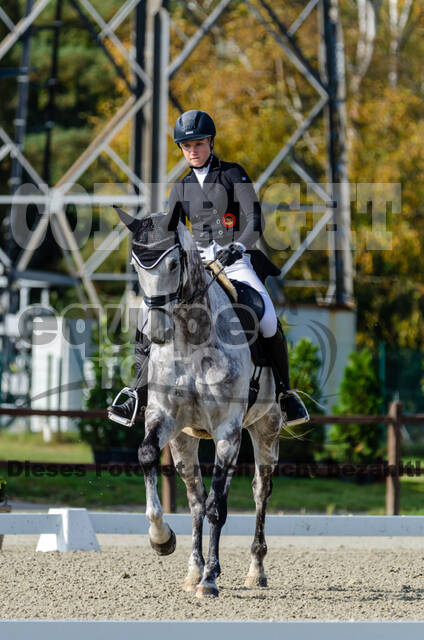 Deutsche Meisterschaft Vielseitigkeit (Luhmühlen)