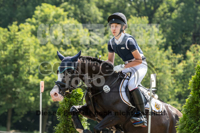 Goldene Schärpe 2021 - Ponys