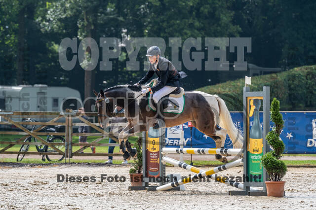 Goldene Schärpe 2021 - Ponys