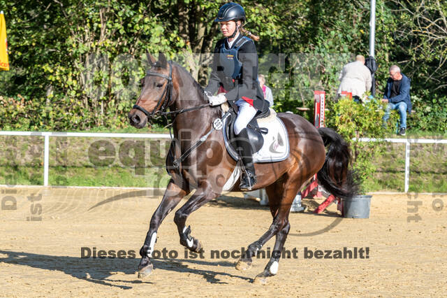 RFV Dinslaken-Hiesfeld (Herbstturnier)