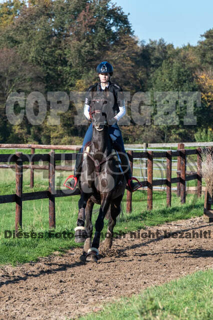 Vielseitigkeitslehrgang mit Jürg Kurbel (9.+10.11.2019)