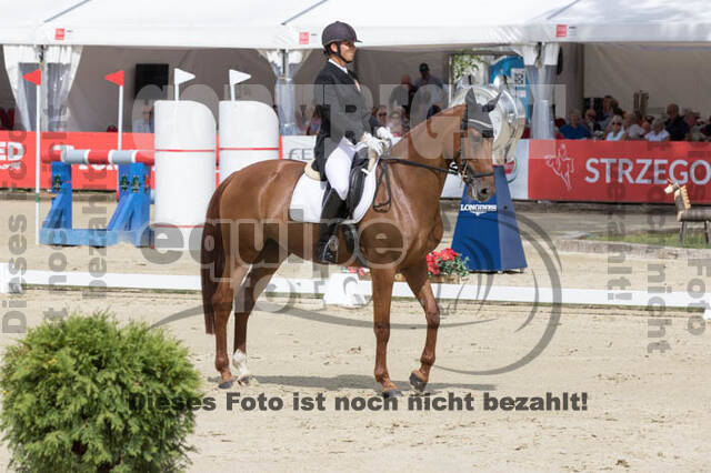 FEI European Championship Eventing 2017