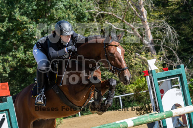 RFV Dinslaken-Hiesfeld (Herbstturnier)