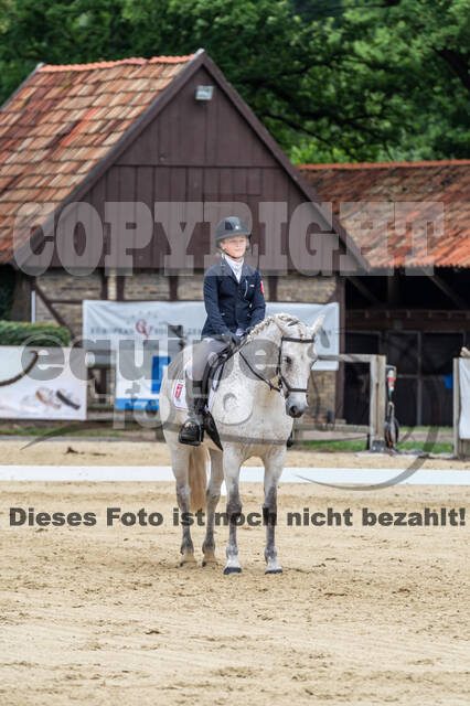 Goldene Schärpe 2021 - Ponys