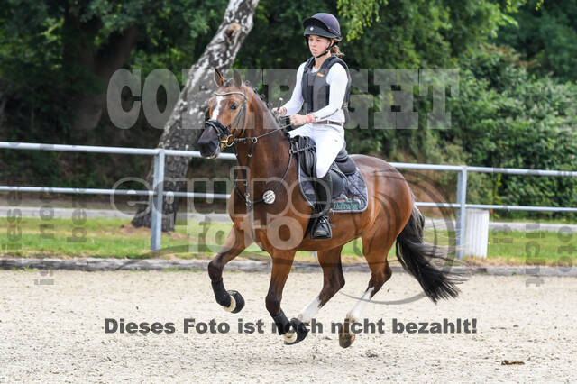 Late-Entry-Vielseitigkeit Langenfeld (11.+13./14.06.2020)