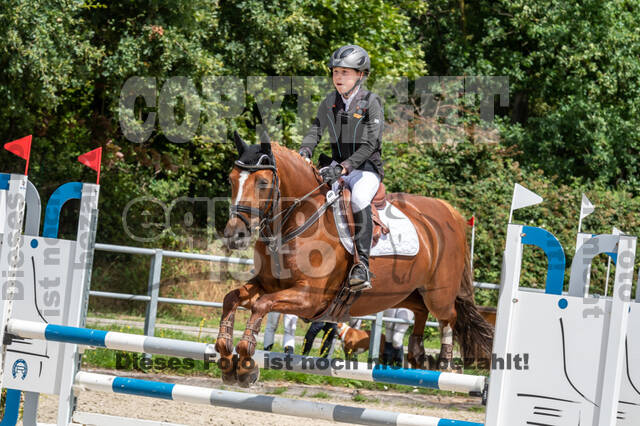 Late-Entry-Vielseitigkeit Langenfeld (06.+07.07.2020)