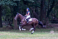 Late-Entry Vielseitigkeit Hamminkeln/Wesel (01.+02.08.2020)