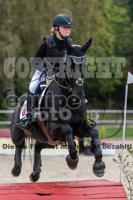 Goldene Schärpe 2020 - Pferde