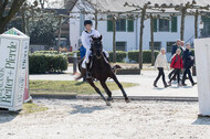 Eventing Langenfeld 2018