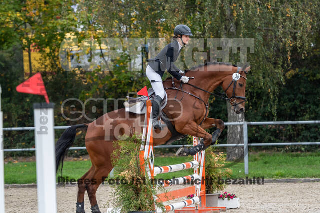 Reiter Schleswig-Holstein