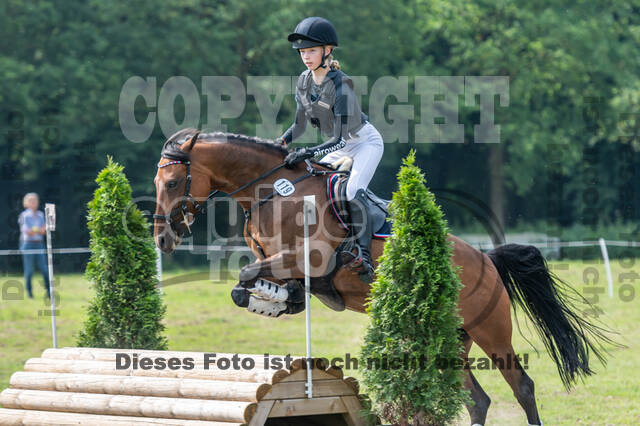 Goldene Schärpe 2021 - Ponys