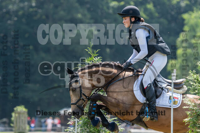 Goldene Schärpe 2021 - Ponys