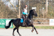 Eventing Langenfeld