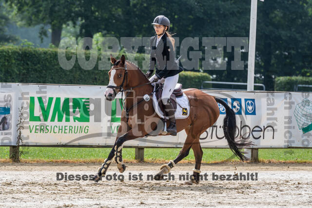 Goldene Schärpe 2021 - Ponys