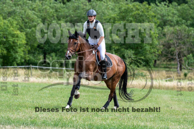 Bonn-Rodderberg Late-Entry-Vielseitigkeit (30.06.2020)