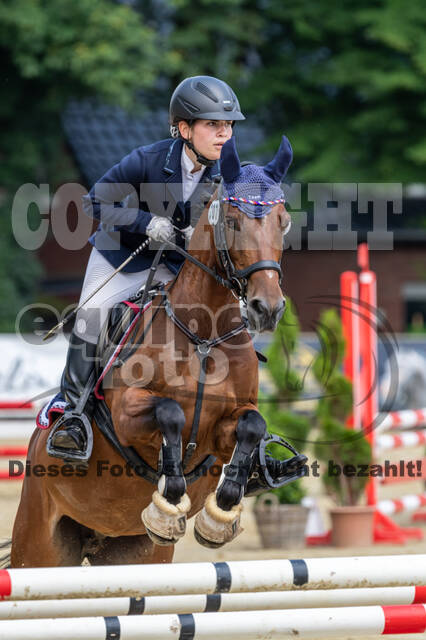 Goldene Schärpe 2021 - Ponys