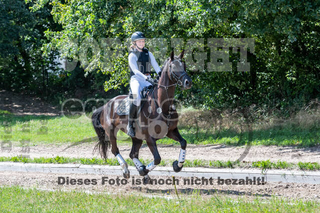 Late-Entry-Vielseitigkeit Langenfeld (06.+07.07.2020)