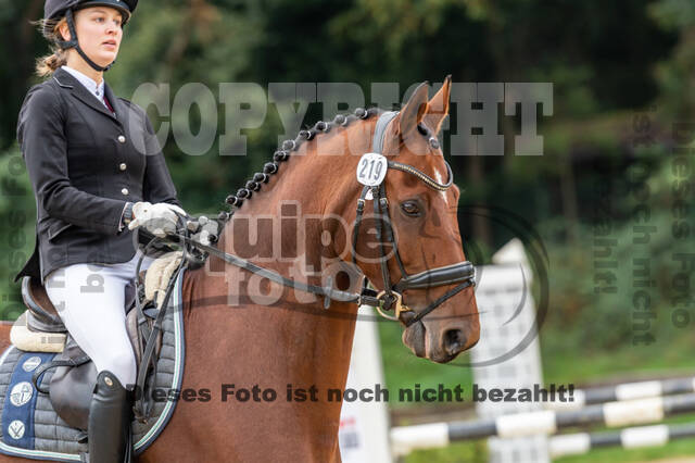 Vielseitigkeit RSV Wesel Obrighoven (26.+27.09.2020)