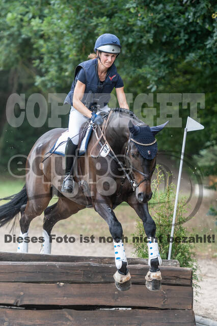 Late-Entry-Vielseitigkeit Langenfeld (11.+13./14.06.2020)