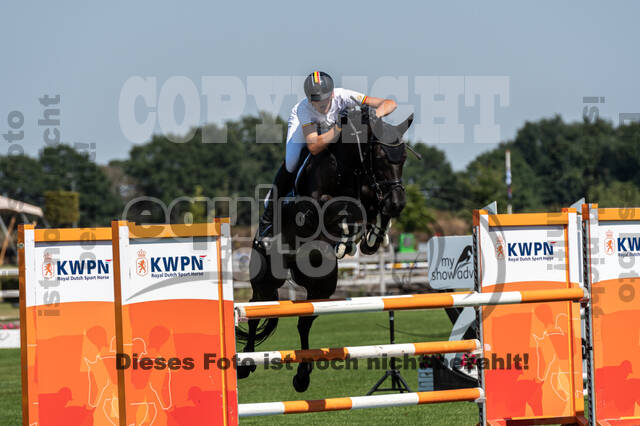 Kronenberg - De Peelbergen (August 2020)