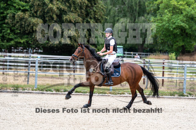 Late-Entry-Vielseitigkeit Langenfeld (11.+13./14.06.2020)