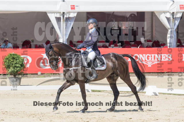 FEI European Championship
